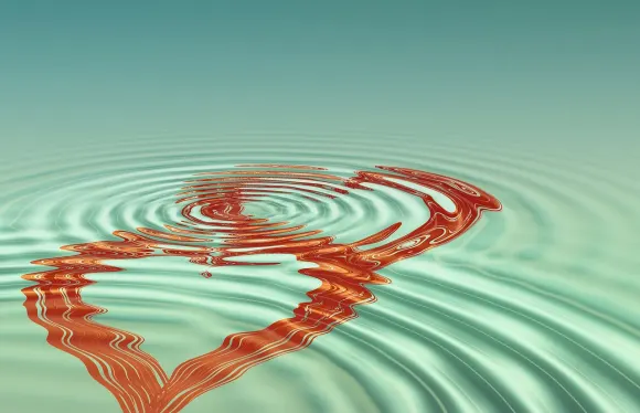 Casigo Casino Assistance